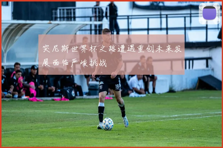 突尼斯世界杯之路遭遇重创未来发展面临严峻挑战