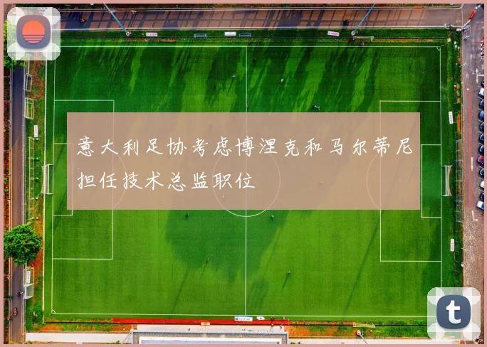 意大利足协考虑博涅克和马尔蒂尼担任技术总监职位