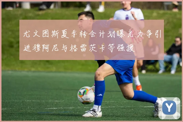 尤文图斯夏季转会计划曝光力争引进穆阿尼与格雷茨卡等强援